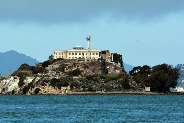 Explore iconic Alcatraz Island and sail beneath the majestic Golden Gate Bridge immersing yourself in the rich history and stunning views of San Francisco Bay's unique marine life.